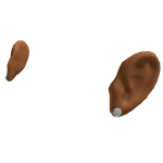 Ears w/Diamond Earrings 
